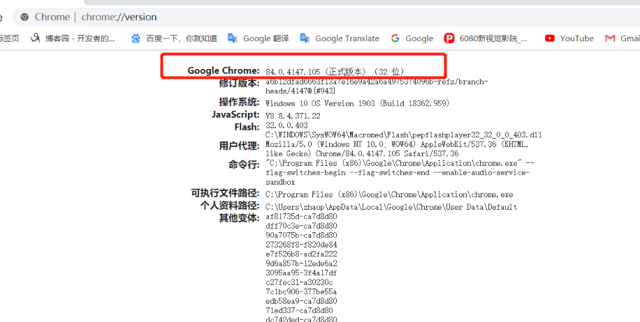 搭建 springboot selenium 網(wǎng)頁文件轉(zhuǎn)圖片環(huán)境的詳細(xì)教程
