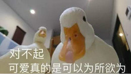 【抖音網(wǎng)紅比心鴨子表情包】比心鴨子高清無水印圖片分享