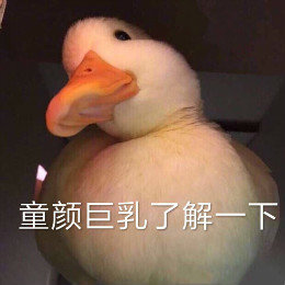 【抖音網(wǎng)紅比心鴨子表情包】比心鴨子高清無水印圖片分享