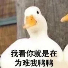 【抖音網(wǎng)紅比心鴨子表情包】比心鴨子高清無水印圖片分享