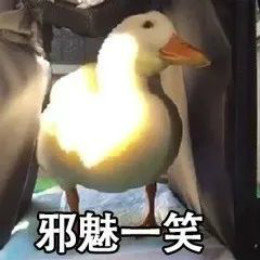 【抖音網(wǎng)紅比心鴨子表情包】比心鴨子高清無水印圖片分享