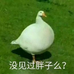 【抖音網(wǎng)紅比心鴨子表情包】比心鴨子高清無水印圖片分享