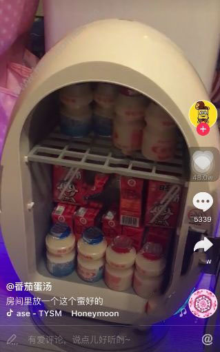 抖音迷你冰箱是什么_抖音迷你冰箱在哪能買(mǎi)