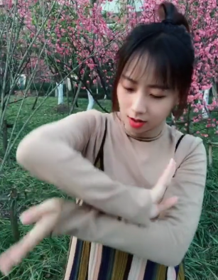 抖音離人愁手勢(shì)舞教程