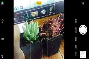 抖音iphone怎么拍照？抖音iPhone拍照技巧分享