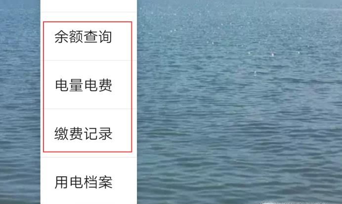 每日每月電費(fèi)明細(xì)怎查詢,微信怎么查每天用電量