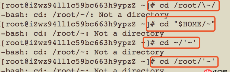 bash - 不小心在linux上創建了一個名字為 ’~’ (不包含引號)的文件夾，現在怎么都進不去這個文件夾了