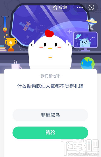 支付寶螞蟻莊園5月25日答案 什么動(dòng)物吃仙人掌都不覺(jué)得扎嘴