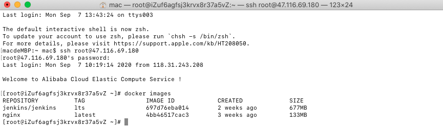 基于Docker、Nginx和Jenkins實(shí)現(xiàn)前端自動(dòng)化部署