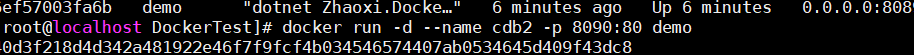 Docker 部署net5程序?qū)崿F(xiàn)跨平臺功能