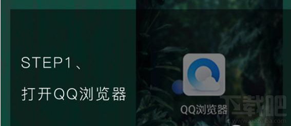 qq瀏覽器怎么識別花草？qq瀏覽器識你所見怎么玩