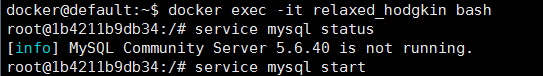 docker中使用mysql數(shù)據(jù)庫(kù)實(shí)現(xiàn)局域網(wǎng)訪問(wèn)
