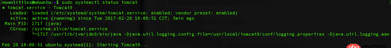 service - Ubuntu16 Tomcat9 設置開機自動重啟時為什么起不來？