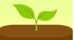forest如何更改標簽?更改標簽的步驟分享