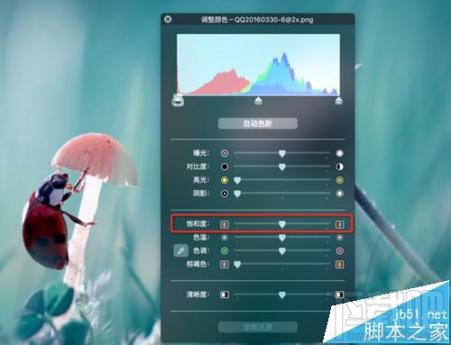 mac系統中怎么用自帶的預覽工具將圖片變成黑白色?