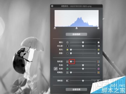 mac系統中怎么用自帶的預覽工具將圖片變成黑白色?