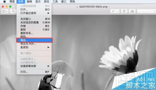 mac系統中怎么用自帶的預覽工具將圖片變成黑白色?