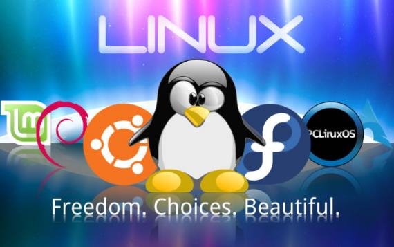 為什么高手離不開Linux系統？
