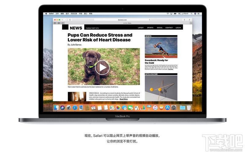 蘋果macOS High Sierra存在什么漏洞？