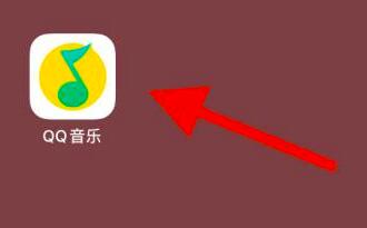 qq音樂(lè)怎么隱藏個(gè)人主頁(yè)