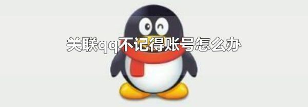 關(guān)聯(lián)qq不記得賬號怎么辦
