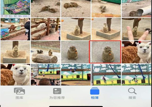 live圖怎么發(fā)給別人