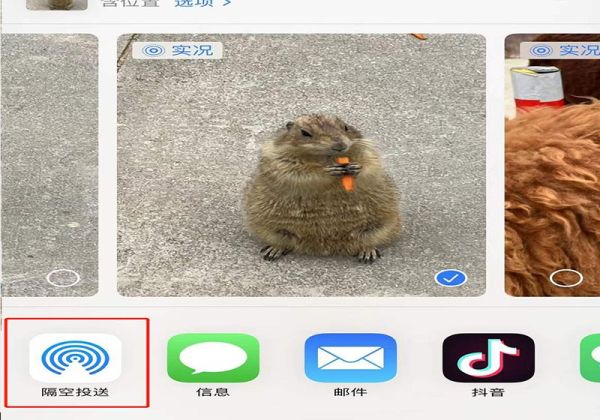 live圖怎么發(fā)給別人