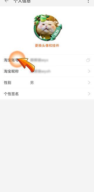 淘寶會(huì)員名怎么改第二次